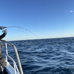 松鶴丸 釣果