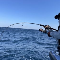 松鶴丸 釣果