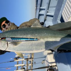 松鶴丸 釣果