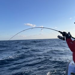 松鶴丸 釣果