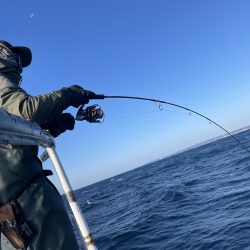 松鶴丸 釣果
