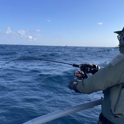 松鶴丸 釣果