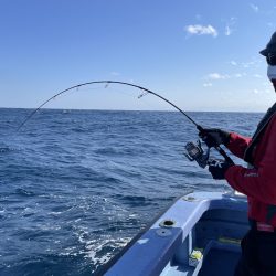 松鶴丸 釣果