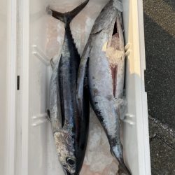 和丸(三重) 釣果