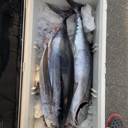 和丸(三重) 釣果