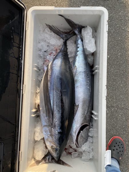 和丸（三重） 釣果