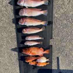 和丸(三重) 釣果