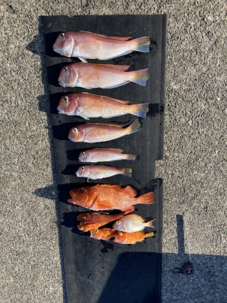 和丸（三重） 釣果