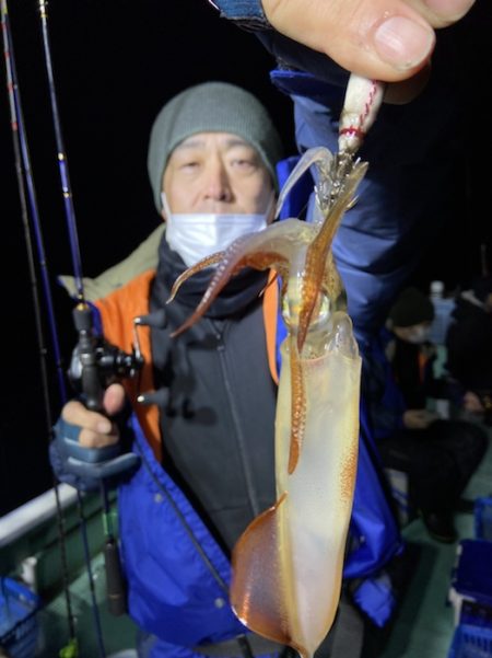 シードリーム 釣果