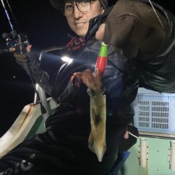 シードリーム 釣果