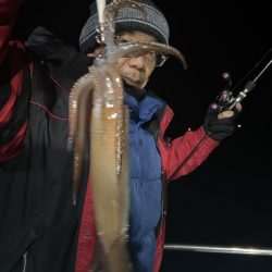 シードリーム 釣果