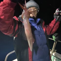 シードリーム 釣果