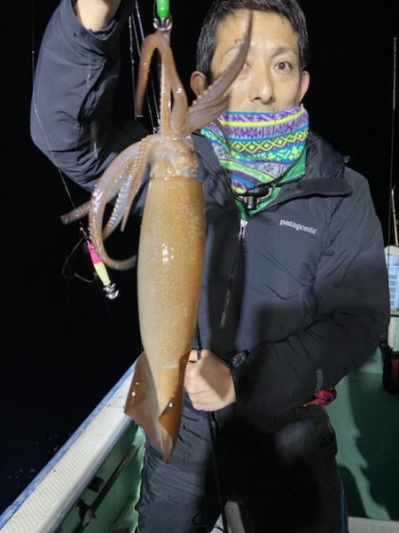 シードリーム 釣果