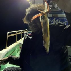 シードリーム 釣果