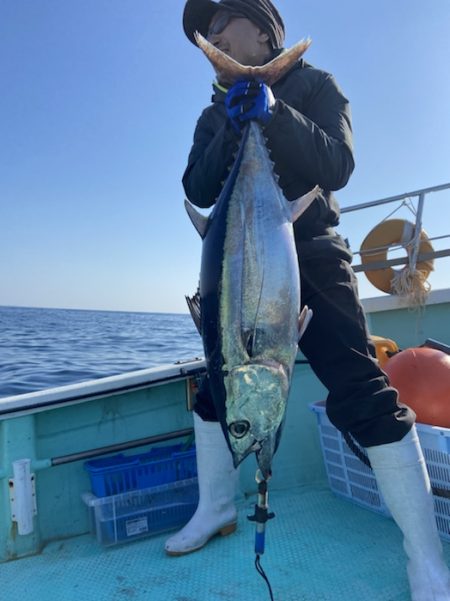 シードリーム 釣果