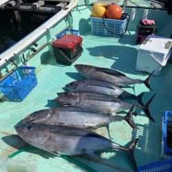 シードリーム 釣果