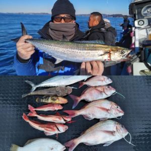 東京湾探釣隊ぼっち 釣果