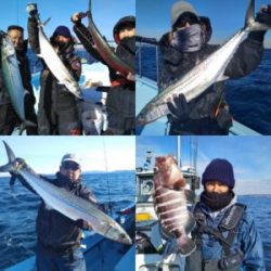東京湾探釣隊ぼっち 釣果