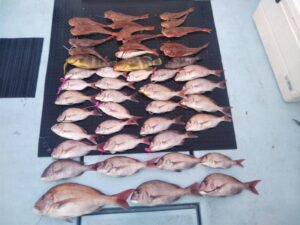 東京湾探釣隊ぼっち 釣果