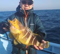 東京湾探釣隊ぼっち 釣果