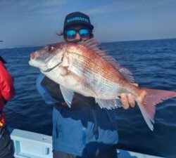 東京湾探釣隊ぼっち 釣果