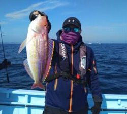 東京湾探釣隊ぼっち 釣果