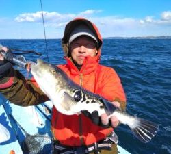 東京湾探釣隊ぼっち 釣果