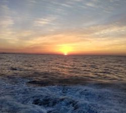 東京湾探釣隊ぼっち 釣果