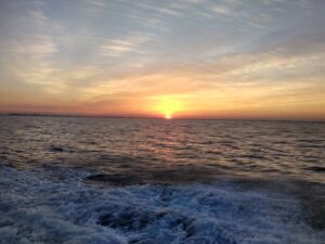 東京湾探釣隊ぼっち 釣果