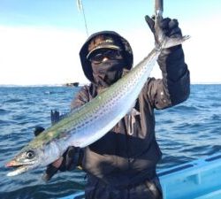 東京湾探釣隊ぼっち 釣果