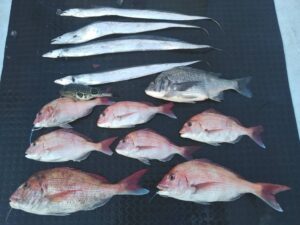 東京湾探釣隊ぼっち 釣果