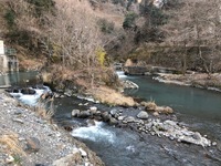 秩父フライフィールド 釣果