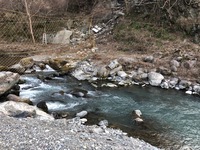 秩父フライフィールド 釣果