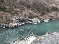 秩父フライフィールド 釣果