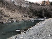 秩父フライフィールド 釣果