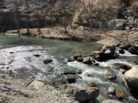 秩父フライフィールド 釣果