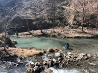 秩父フライフィールド 釣果