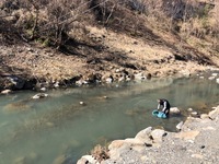 秩父フライフィールド 釣果