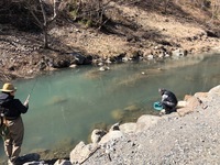 秩父フライフィールド 釣果