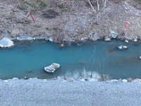 秩父フライフィールド 釣果
