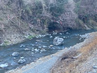 秩父フライフィールド 釣果