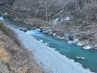 秩父フライフィールド 釣果