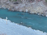 秩父フライフィールド 釣果