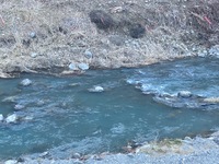 秩父フライフィールド 釣果