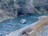 秩父フライフィールド 釣果