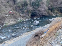 秩父フライフィールド 釣果