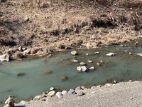 秩父フライフィールド 釣果