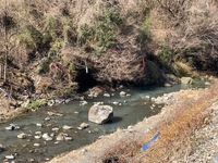 秩父フライフィールド 釣果