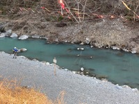 秩父フライフィールド 釣果