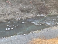 秩父フライフィールド 釣果